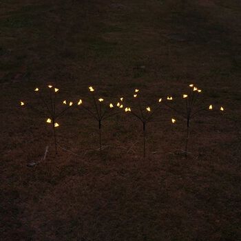 Set aus 4 solarbetriebenen Gartenlichtern im Gl&uuml;hw&uuml;rmchen-Design, 8 Lichtmodi, 70 cm